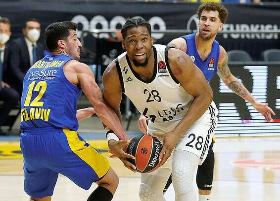 צילום: אלן שיבר